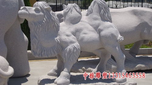 廣場石雕駱駝雕塑 廣州駱駝青石雕塑